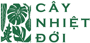 Cẩm Nang Thiết Kế Nội Thất Hiện Đại Từ A-Z